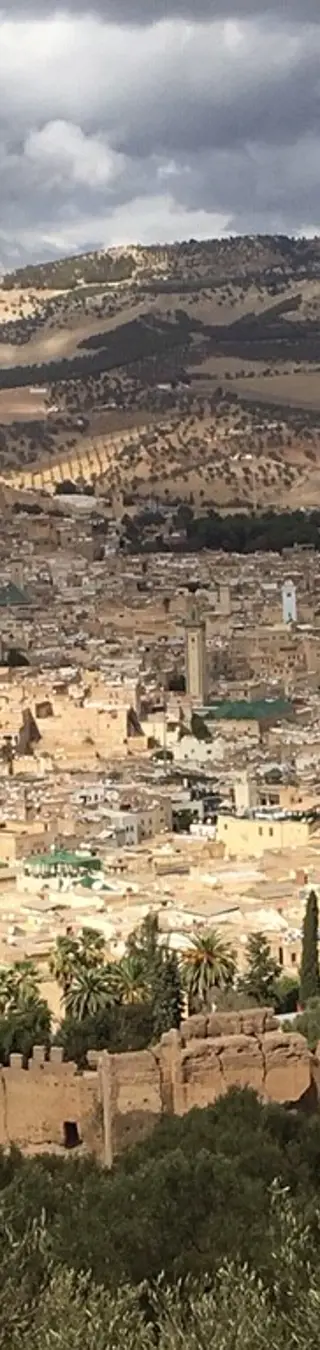 Erkunde die Königsstadt Fès